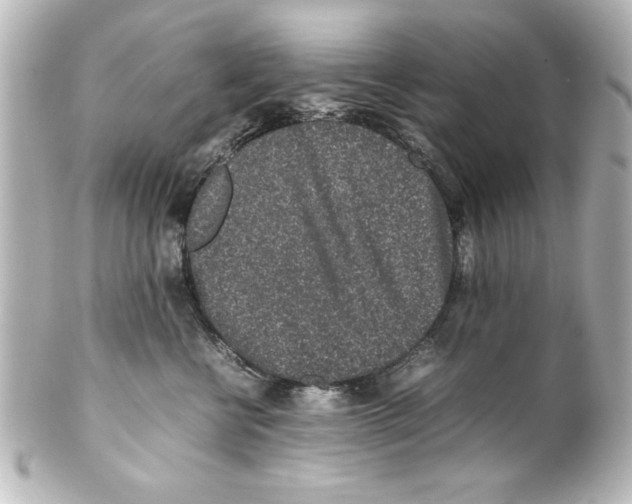 X0000100190570200806271621