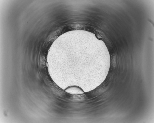 X0000100190571200806271621