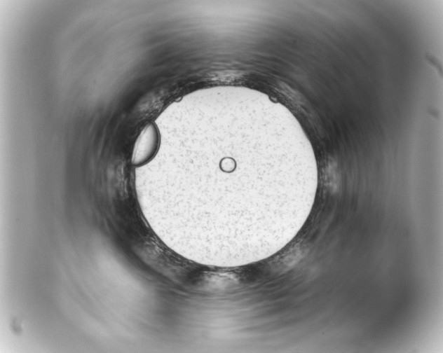 X0000100190572200806271621