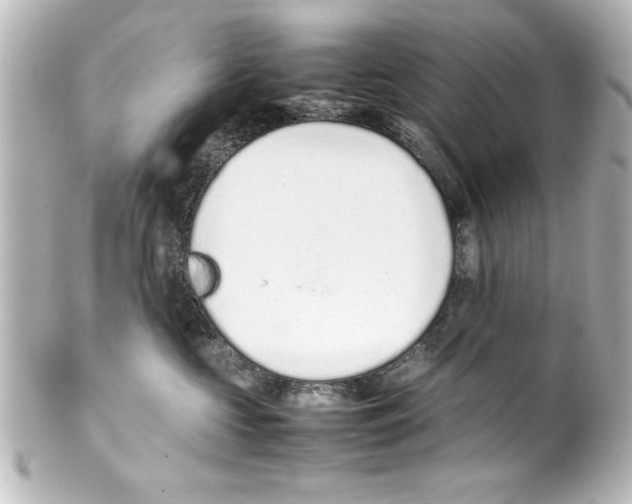 X0000100190573200806271621