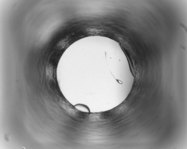 X0000100190574200806271621
