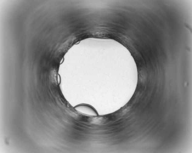 X0000100190575200806271621