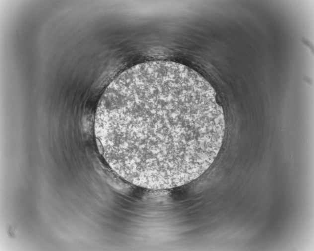 X0000100190576200806271621