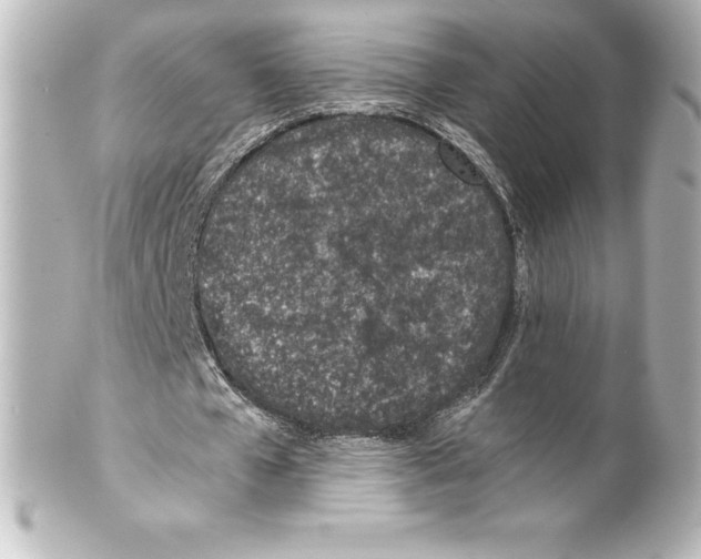 X0000100190577200806271621