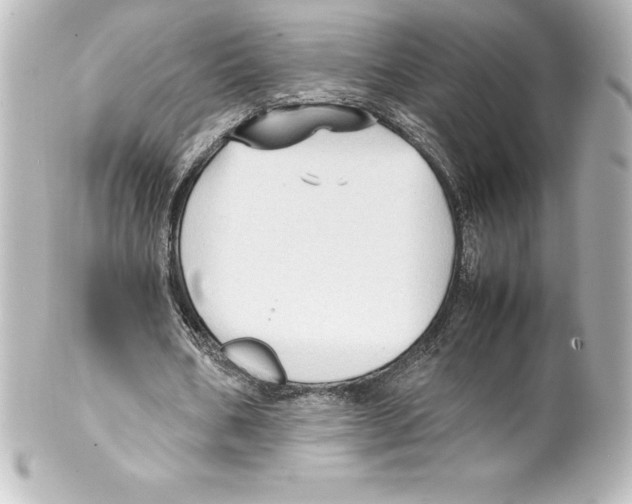 X0000100190578200806271621
