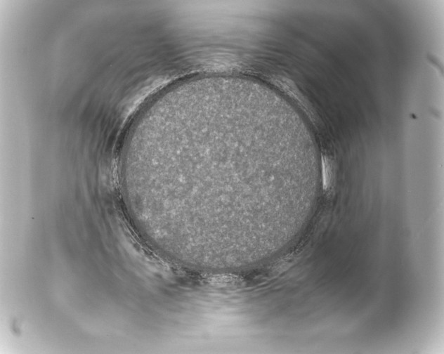 X0000100190579200806271621