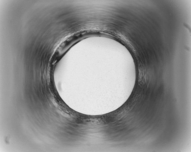 X0000100190580200806271621