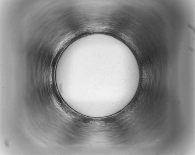 X0000100190582200806271621