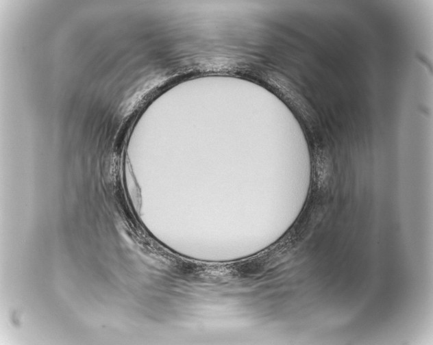 X0000100190583200806271621