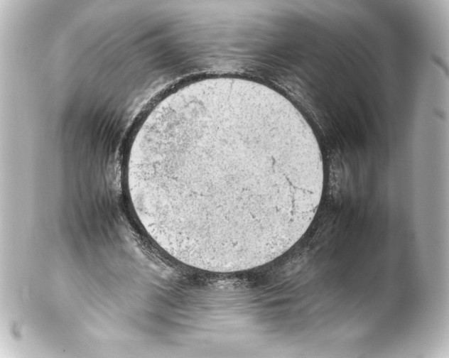 X0000100190584200806271621