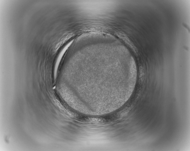 X0000100190585200806271621