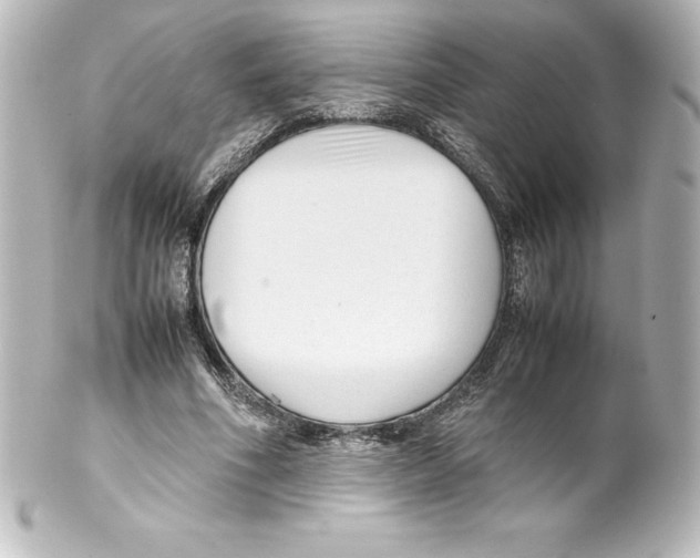 X0000100190586200806271621