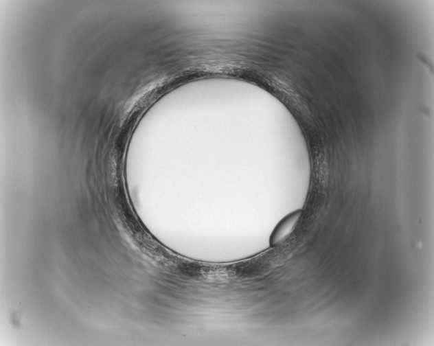 X0000100190587200806271621