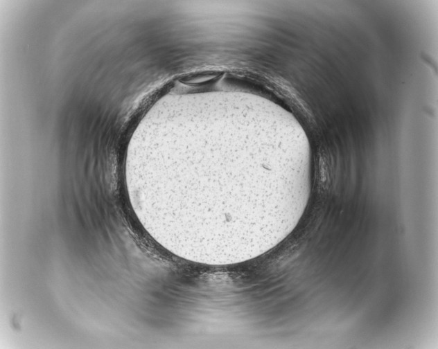 X0000100190588200806271621