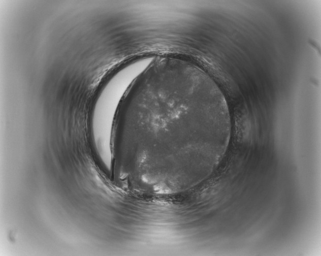 X0000100190592200806271620