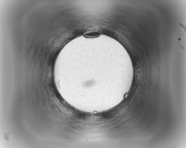 X0000100190593200806271620