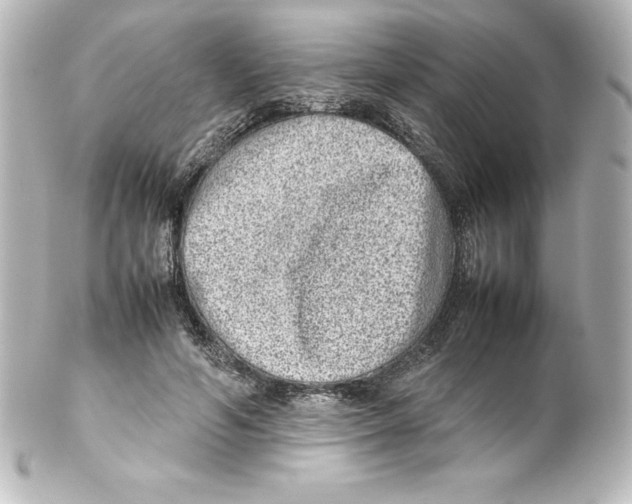 X0000100190594200806271620