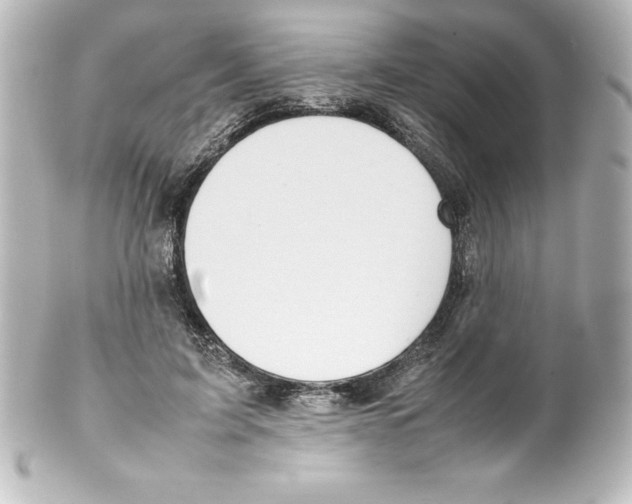X0000100190595200806271620