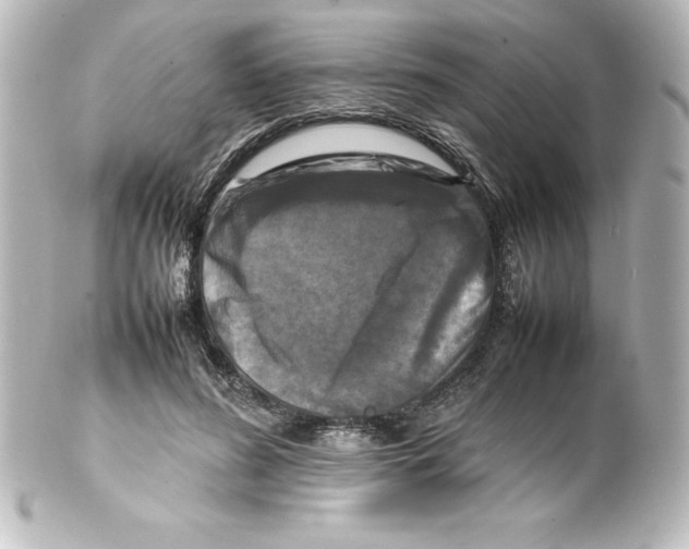 X0000100190596200806271620