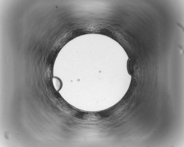 X0000100190597200806271620