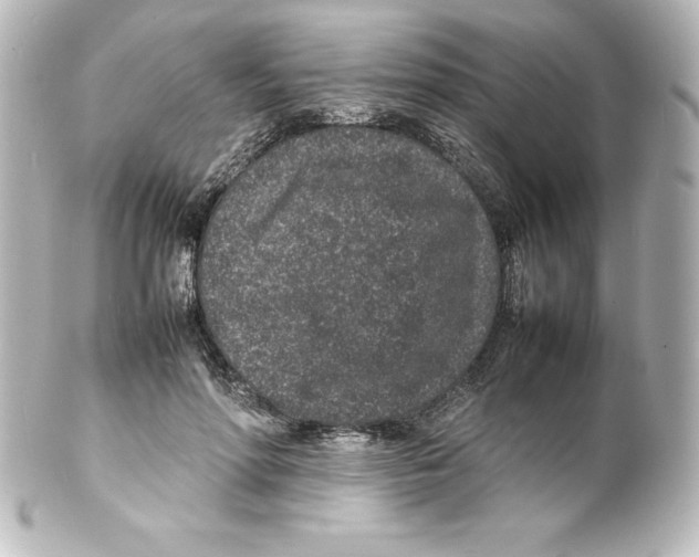 X0000100190598200806271620