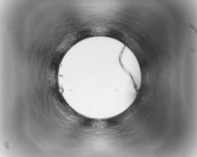 X0000100190599200806271620