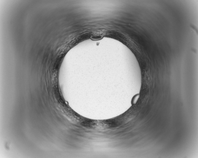 X0000100190601200806271620