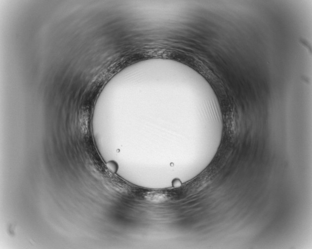 X0000100190602200806271620