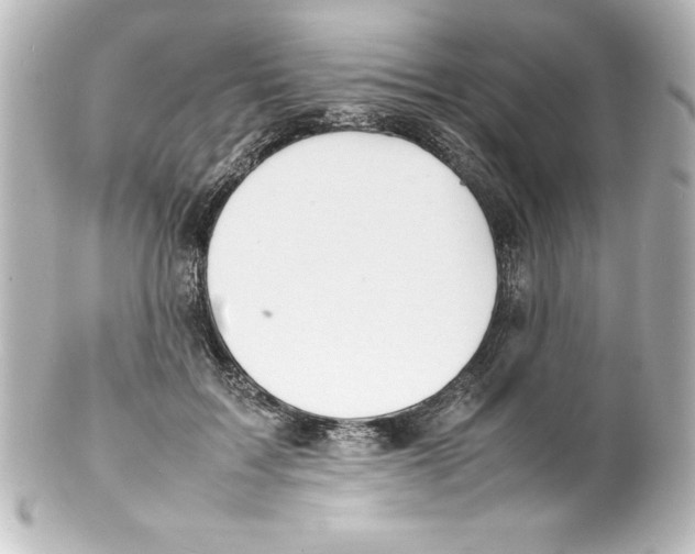 X0000100190603200806271620