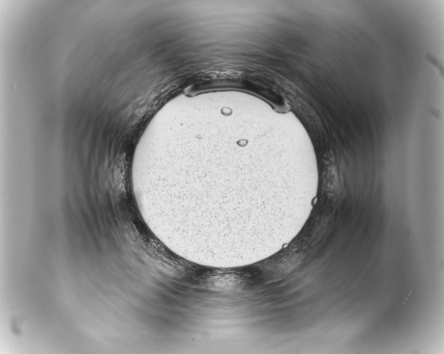 X0000100190604200806271620