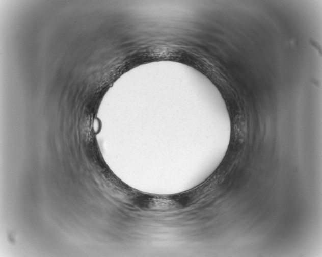 X0000100190605200806271620