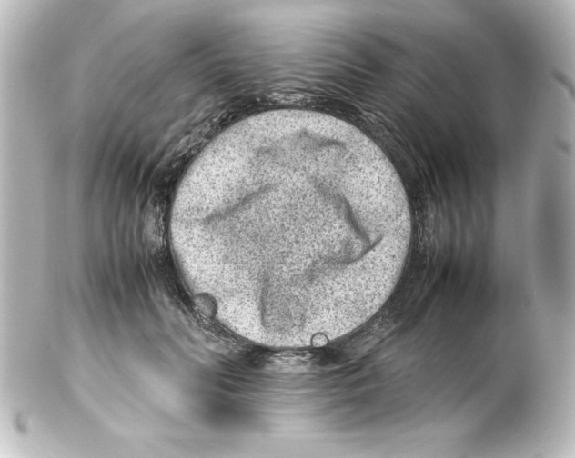 X0000100190606200806271620