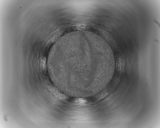 X0000100190610200806271620