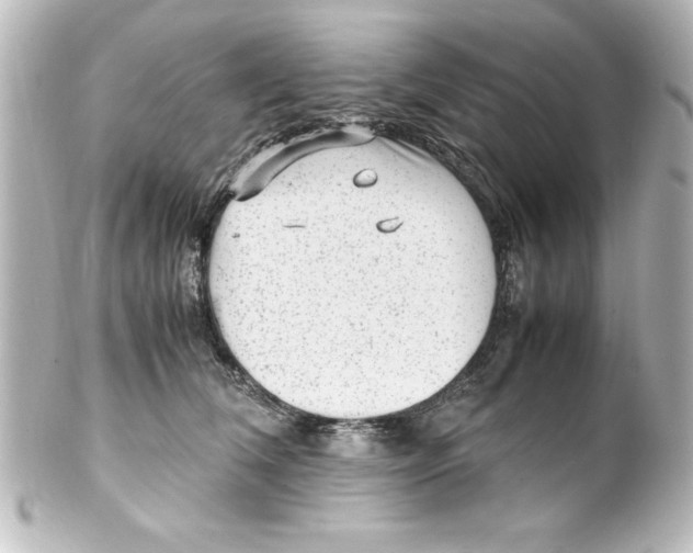 X0000100190612200806271620