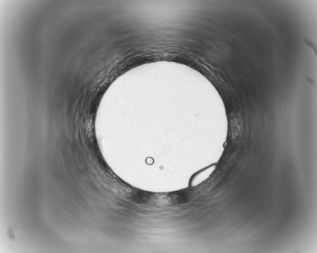 X0000100190613200806271620