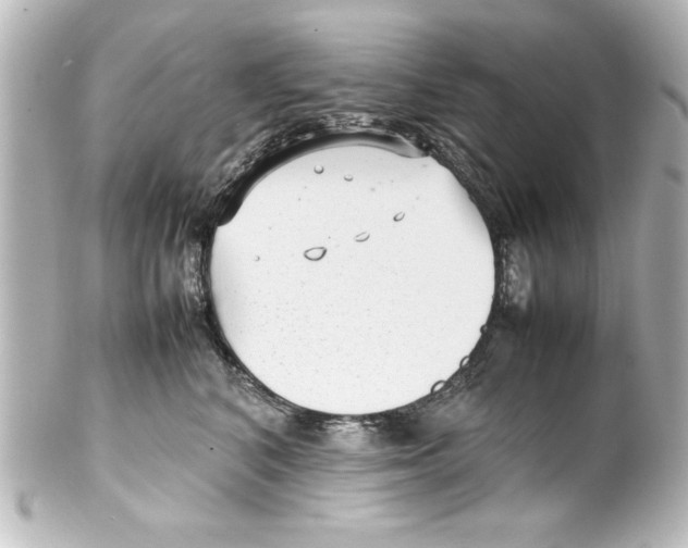 X0000100190616200806271620