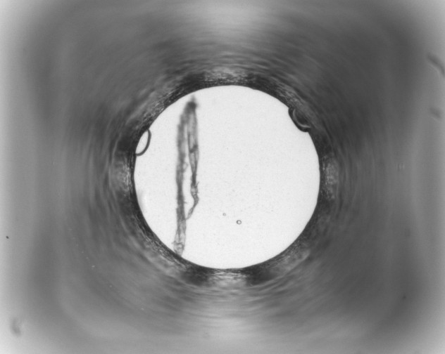 X0000100190617200806271620