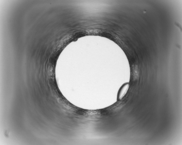 X0000100190619200806271620