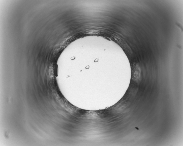 X0000100190620200806271620