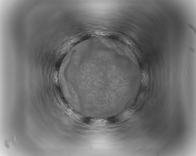 X0000100190621200806271620