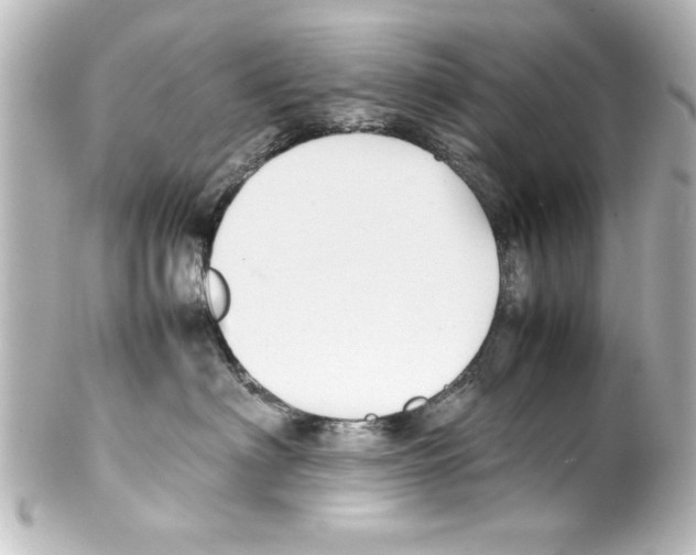X0000100190622200806271620