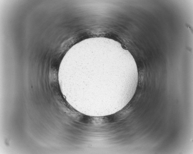 X0000100190623200806271620