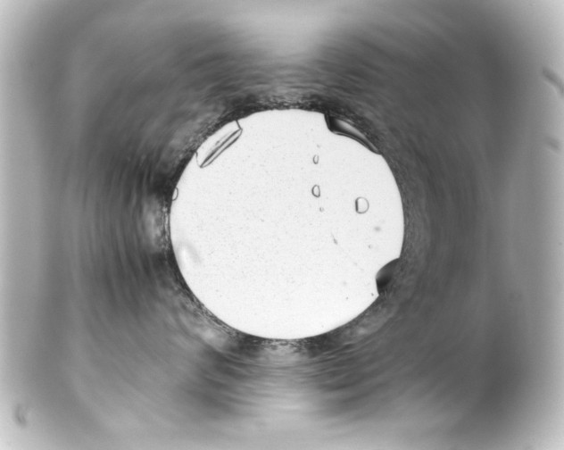 X0000100190624200806271620