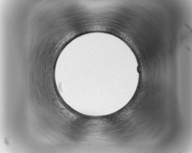 X0000100190625200806271619