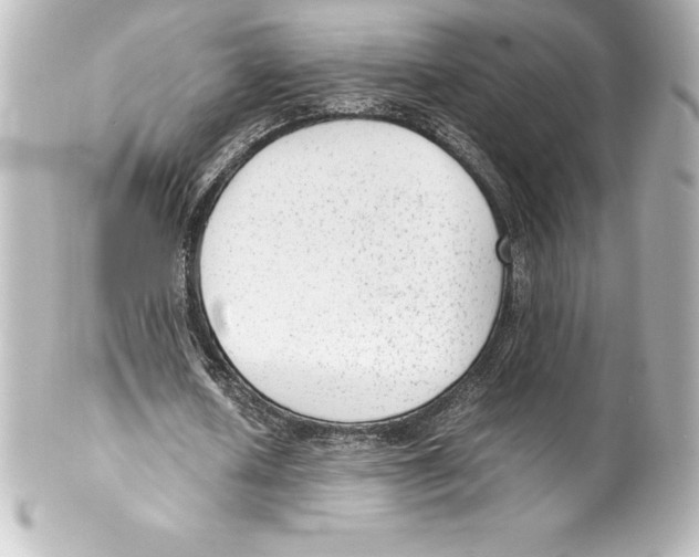 X0000100190626200806271619