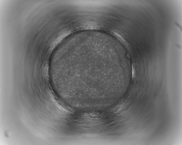 X0000100190627200806271619