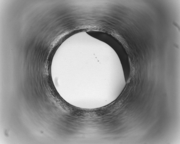 X0000100190628200806271619