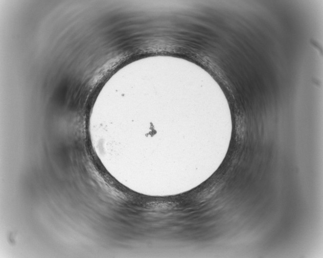 X0000100190629200806271619