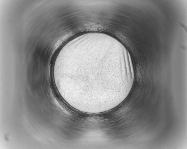 X0000100190630200806271619