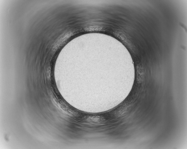 X0000100190631200806271619